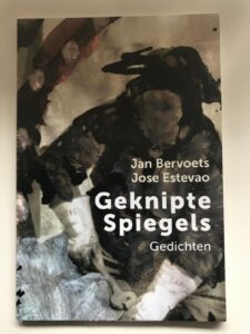 Geknipte Spiegels